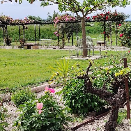 Gite En Provence "Rose" Modene المظهر الخارجي الصورة