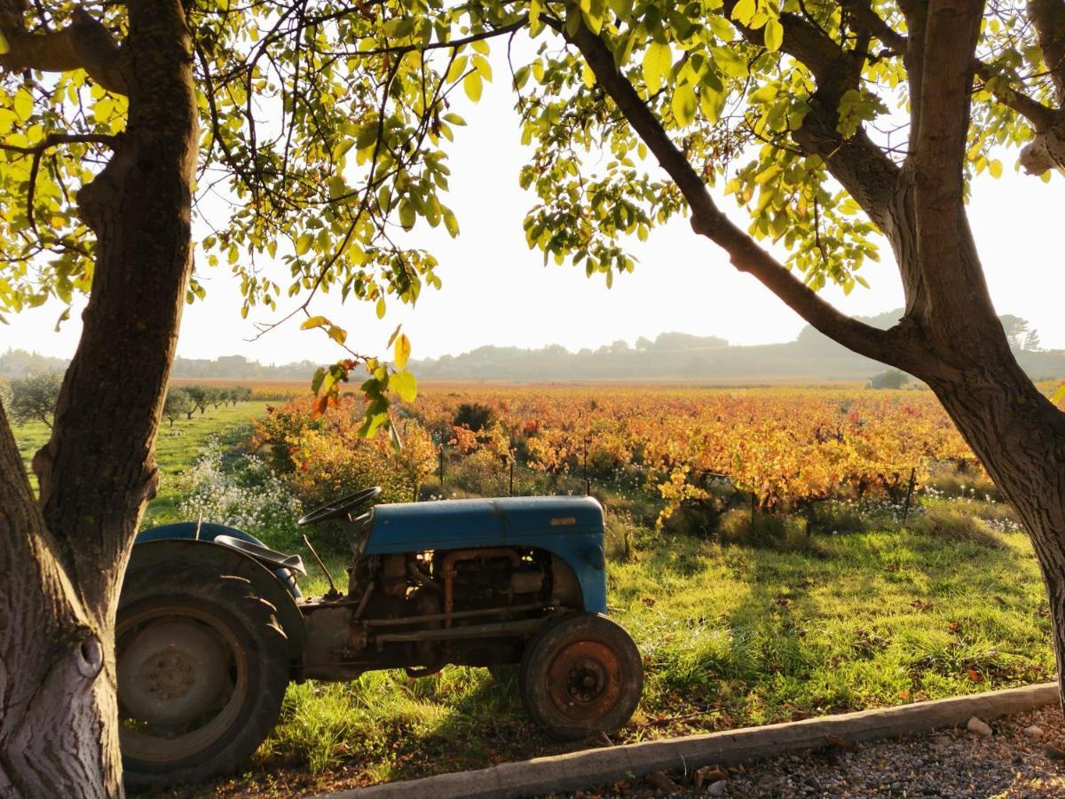 Gite En Provence "Rose" Modene المظهر الخارجي الصورة