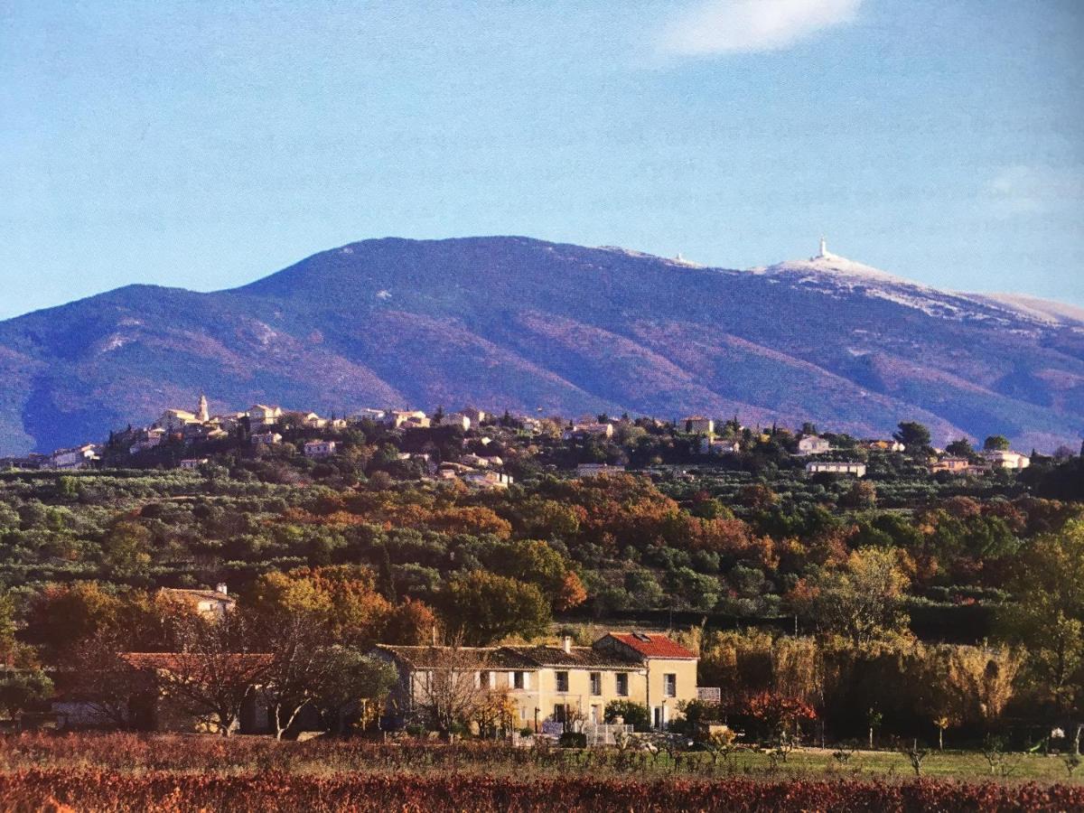 Gite En Provence "Rose" Modene المظهر الخارجي الصورة