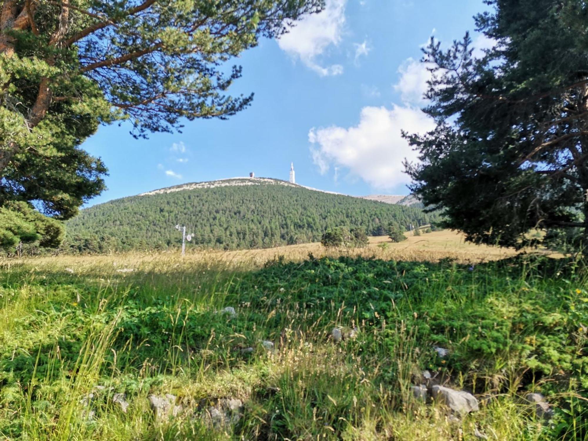 Gite En Provence "Rose" Modene المظهر الخارجي الصورة