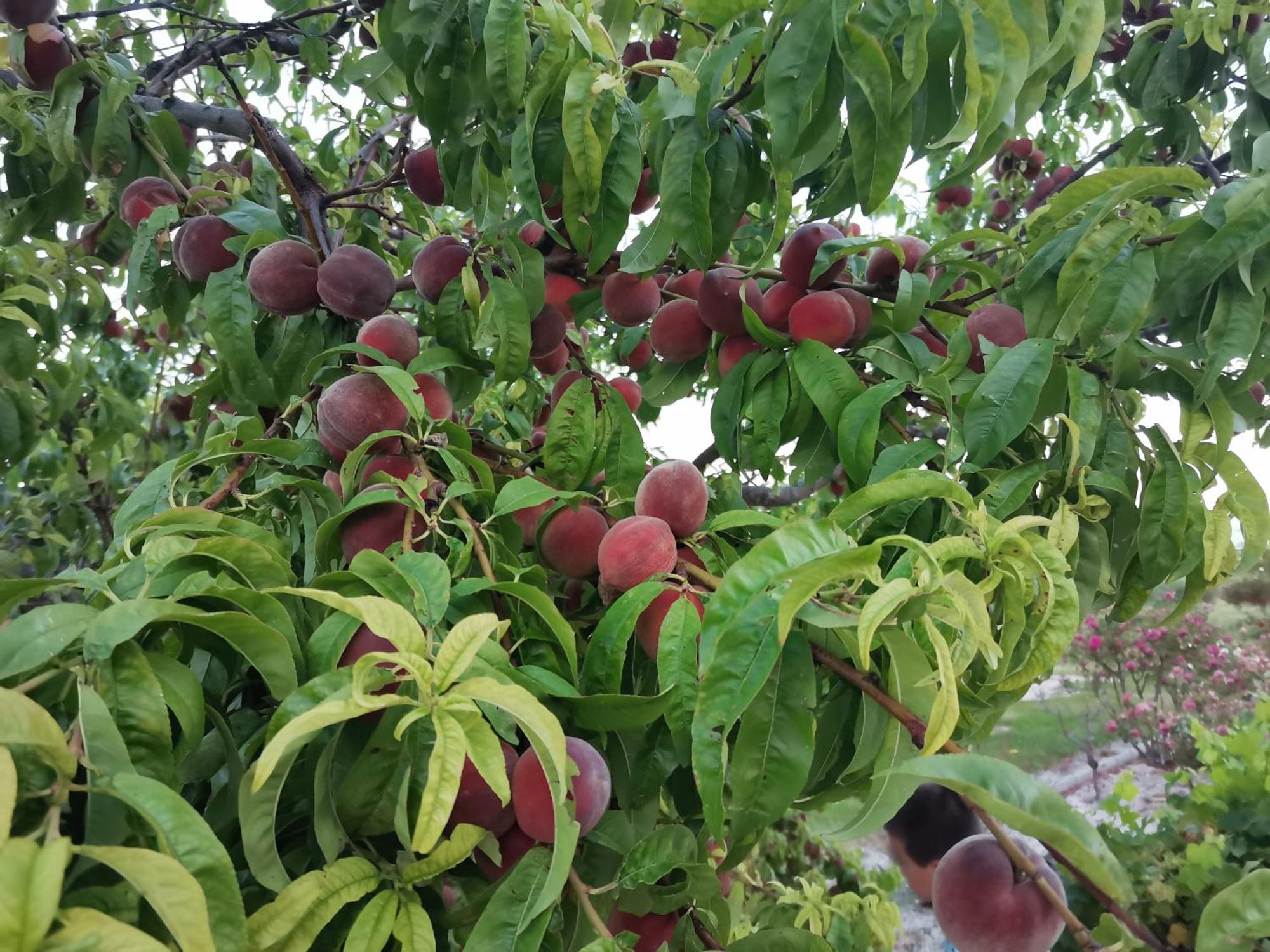 Gite En Provence "Rose" Modene المظهر الخارجي الصورة