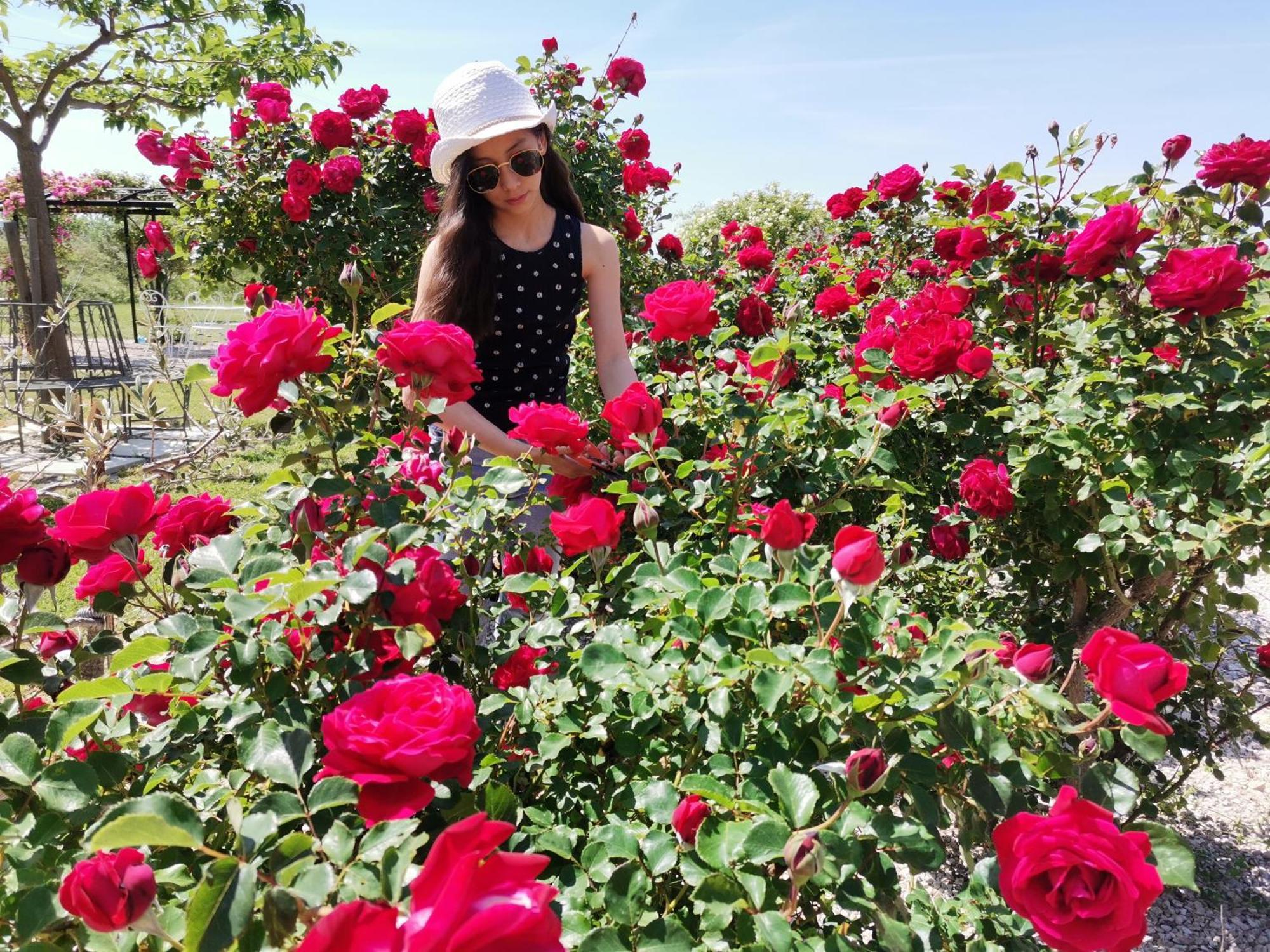 Gite En Provence "Rose" Modene المظهر الخارجي الصورة