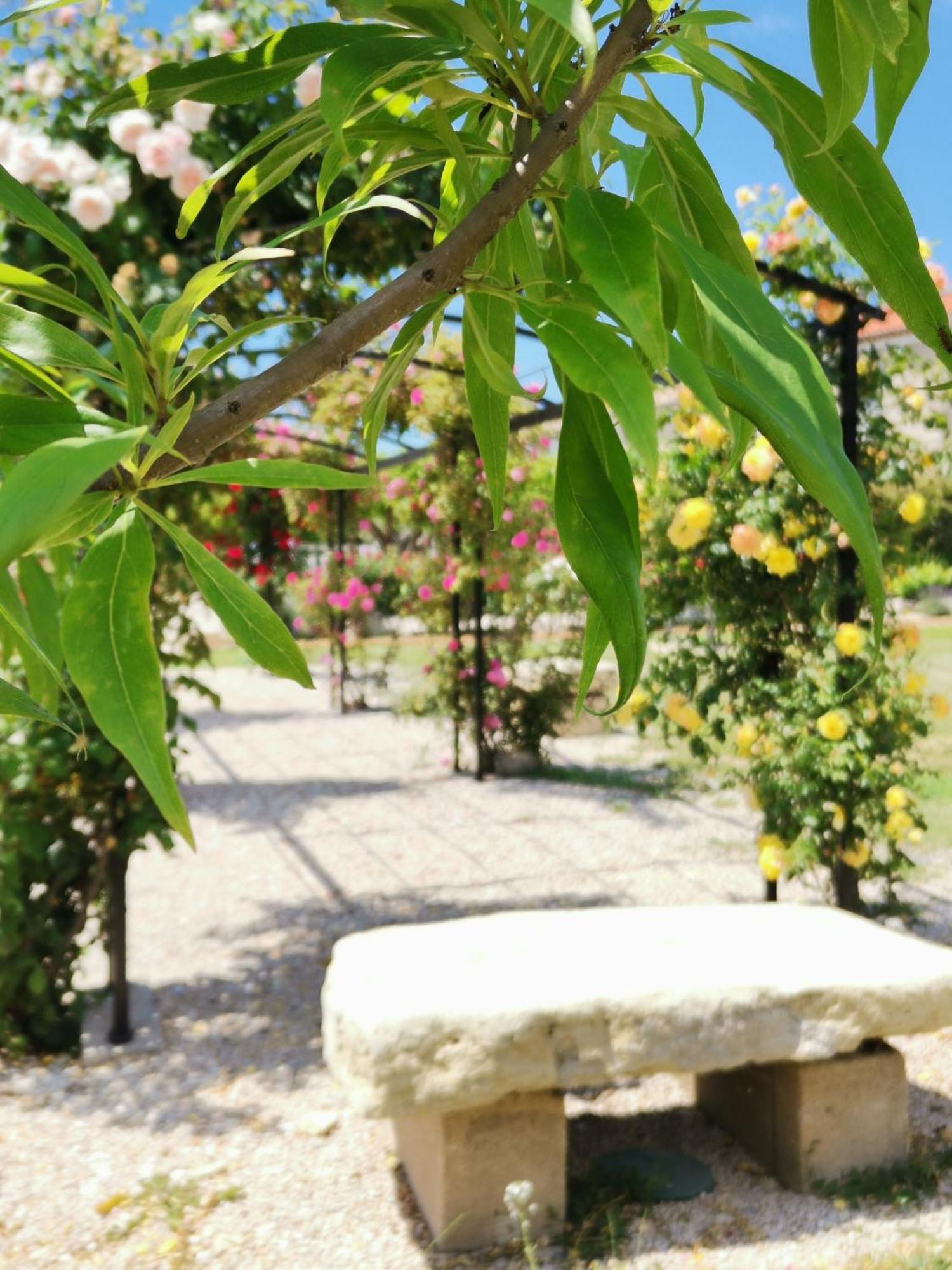 Gite En Provence "Rose" Modene المظهر الخارجي الصورة