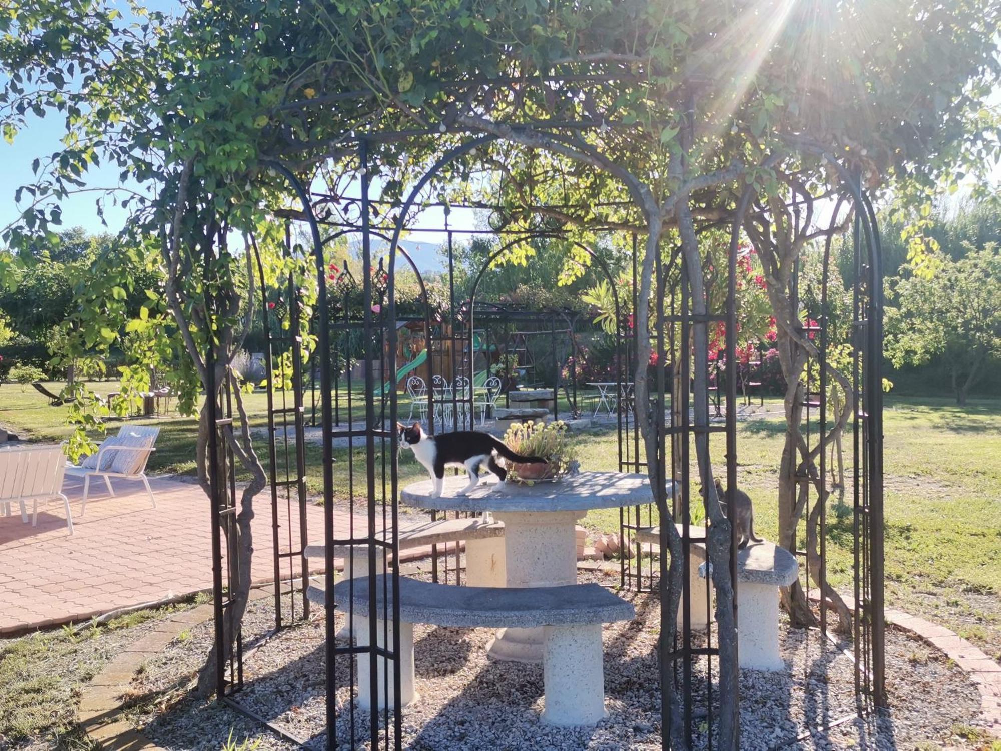 Gite En Provence "Rose" Modene المظهر الخارجي الصورة