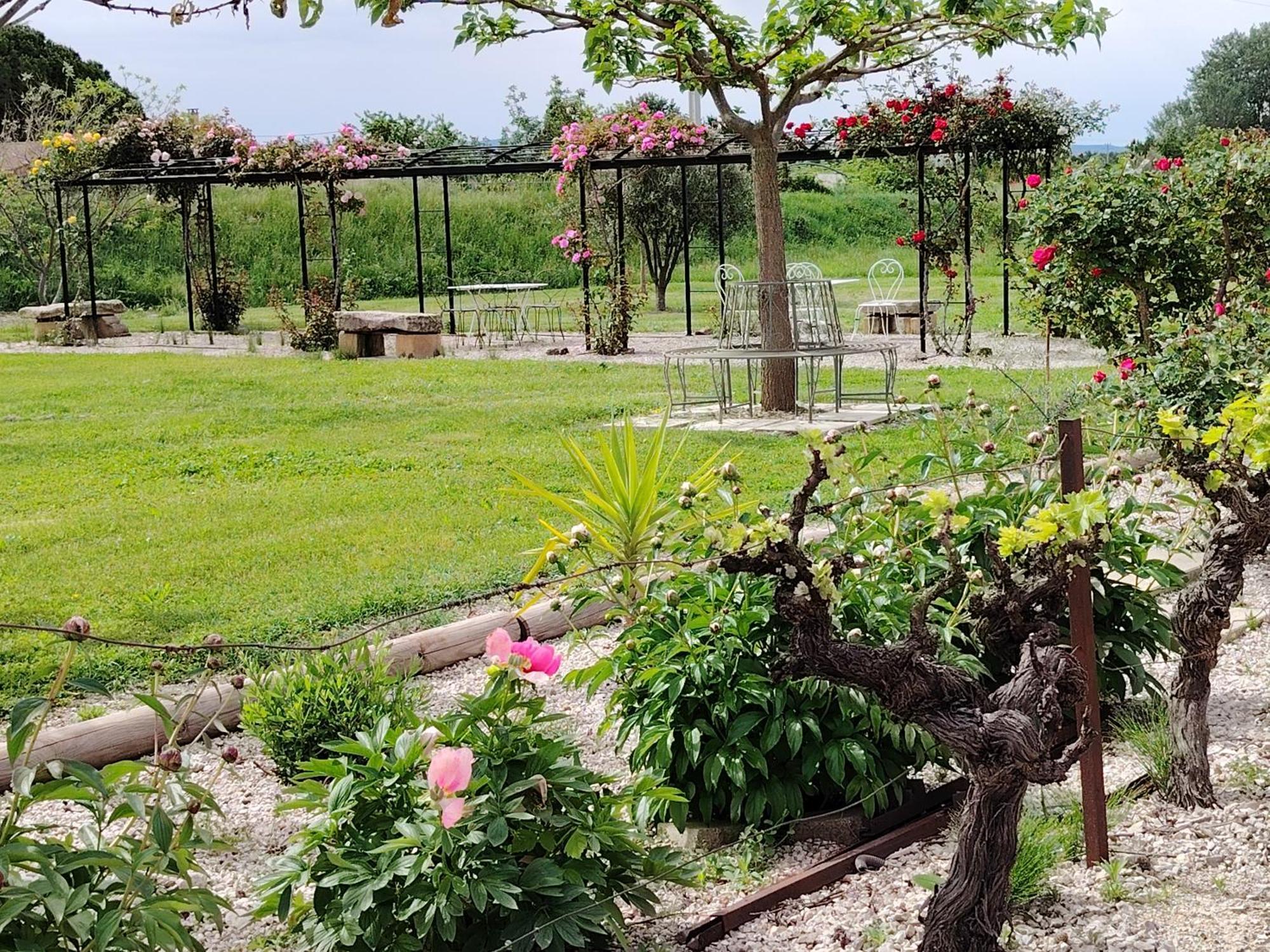 Gite En Provence "Rose" Modene المظهر الخارجي الصورة